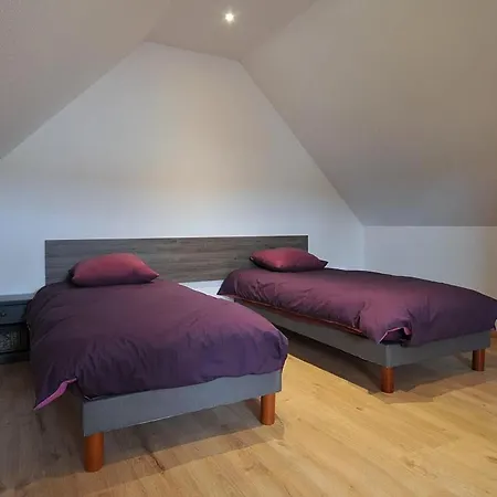 Lumineux Et Calme Avec Terrasse, Barbecue Et Parking A 5 Km De Colmar - Fr-1-744-32 * Houssen