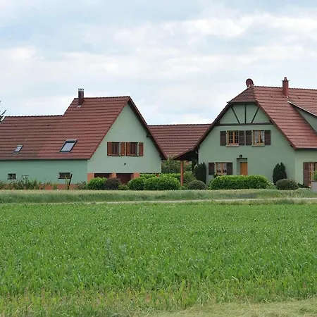 Lumineux Et Calme Avec Terrasse, Barbecue Et Parking A 5 Km De Colmar