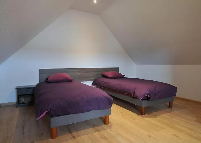 Lumineux Et Calme Avec Terrasse, Barbecue Et Parking à 5 Km De Colmar - Fr-1-744-32 * Houssen