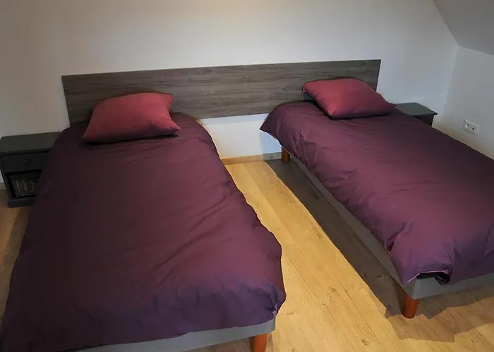 Lumineux Et Calme Avec Terrasse, Barbecue Et Parking à 5 Km De Colmar - Fr-1-744-32 Houssen