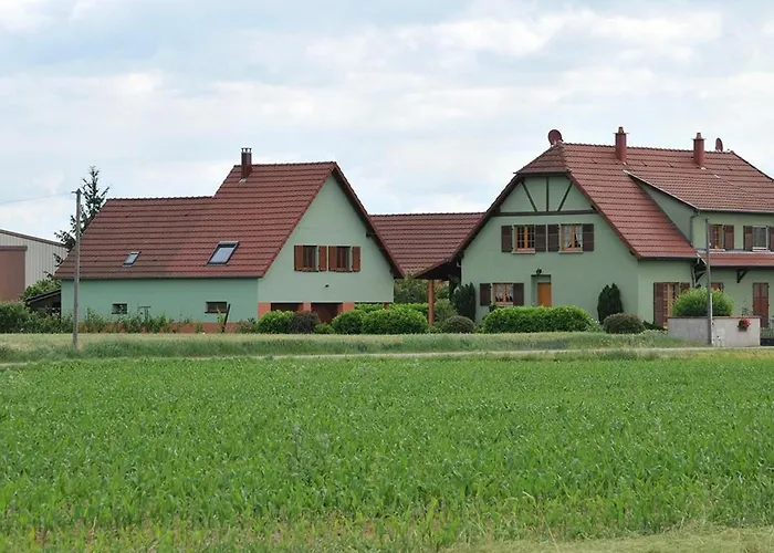 Lumineux Et Calme Avec Terrasse, Barbecue Et Parking à 5 Km De Colmar - Fr-1-744-32