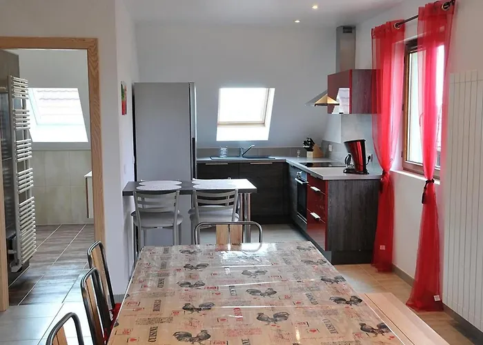 Lumineux Et Calme Avec Terrasse, Barbecue Et Parking à 5 Km De Colmar - Fr-1-744-32 * Houssen